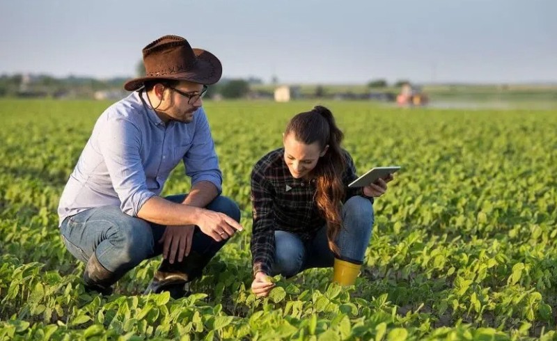 Educa Agro EAD - Curso seção áreas de atuação