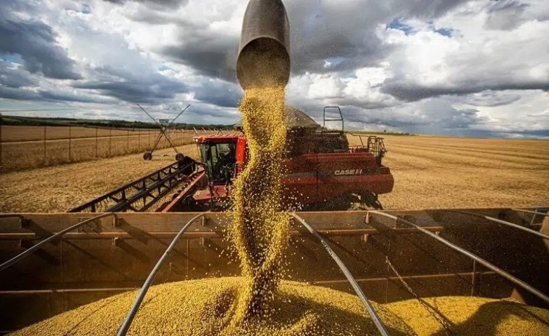 Educa Agro EAD - Curso seção mercado