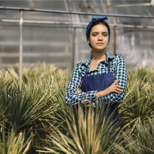 Educa Agro EAD - Landing Page seção atuação