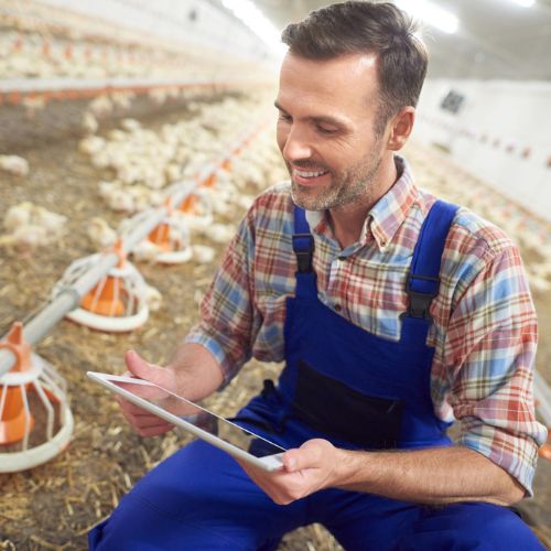 Educa Agro EAD - Landing Page seção profissional