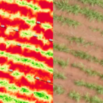 IDENTIFICAÇÃO DE FALHAS DE PLANTIO: No nosso curso, você aprenderá a usar técnicas avançadas de geoprocessamento para identificar falhas de plantio, utilizando exclusivamente as ferramentas disponíveis no QGIS. Não é necessário conhecimento em programação; todas as técnicas são aplicadas diretamente nas ferramentas do QGIS