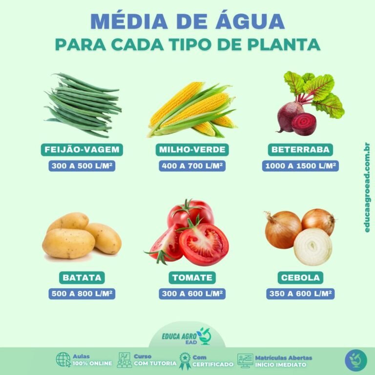 A importância da Água para as Plantas