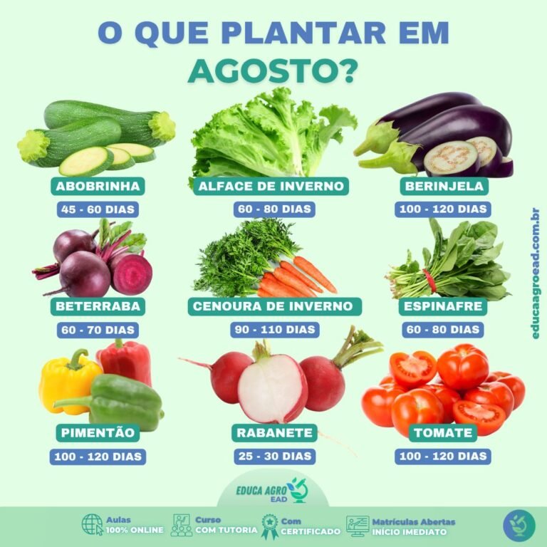 O que plantar em agosto?