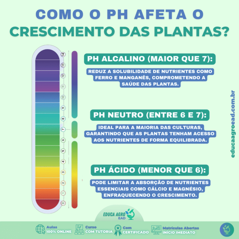 pH do solo: o detalhe que pode transformar sua lavoura!