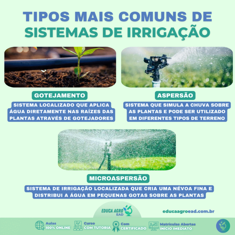 Irrigação no campo: você sabe qual sistema escolher?