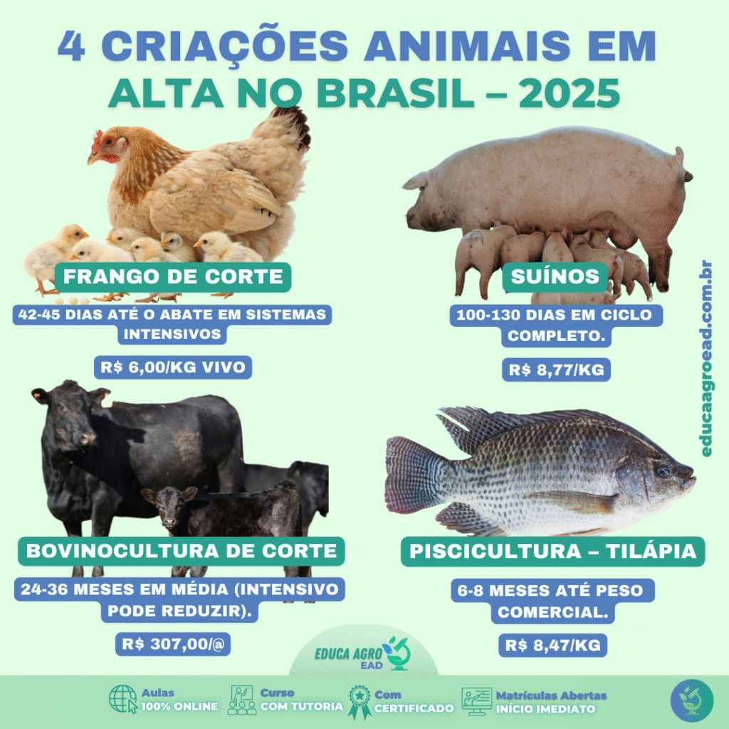 As 4 Criações Animais Mais Relevantes do Brasil em 2025