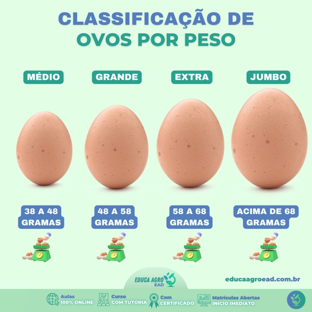 📢 Quaresma e o Impacto no Mercado de Ovos: Uma Oportunidade para Avicultores