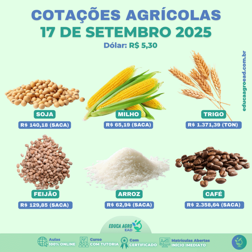 📊 Cotações Agrícolas – 17 de Setembro de 2025