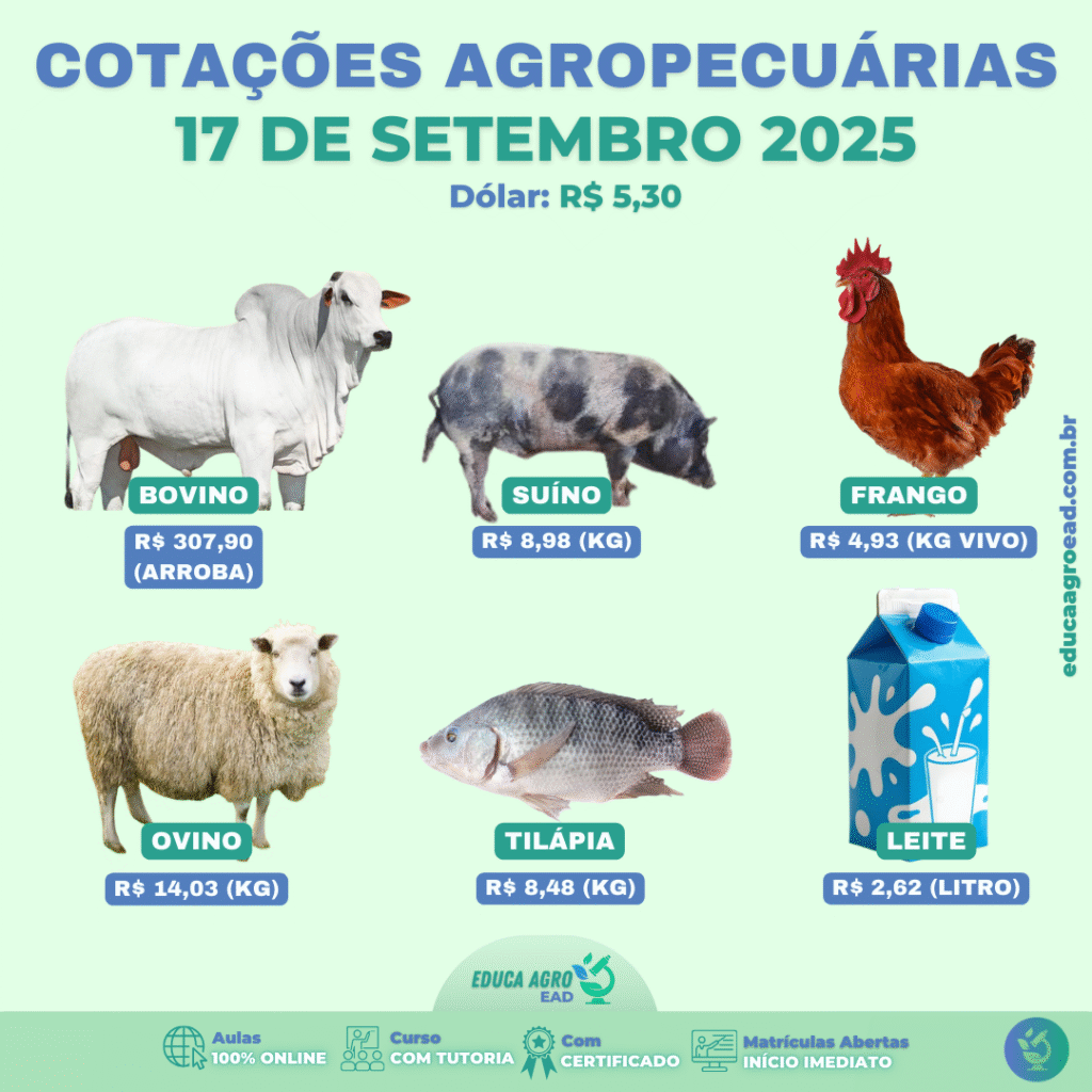 📊 Cotações Agropecuárias – Atualizadas em 17 de Setembro de 2025