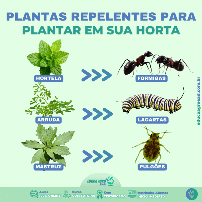 Plantas Repelentes: Controle Natural de Insetos na Agricultura e Hortas Domésticas