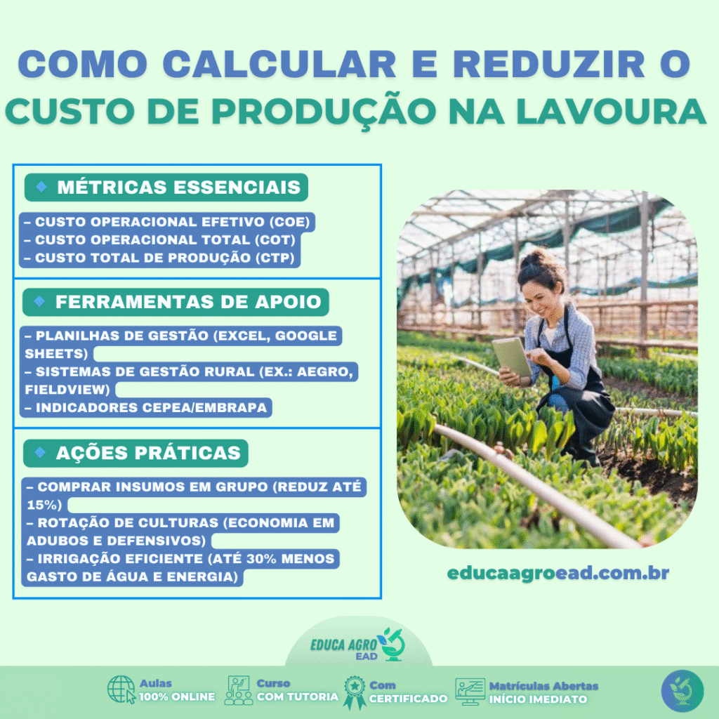Como calcular e reduzir o custo de produção na lavoura
