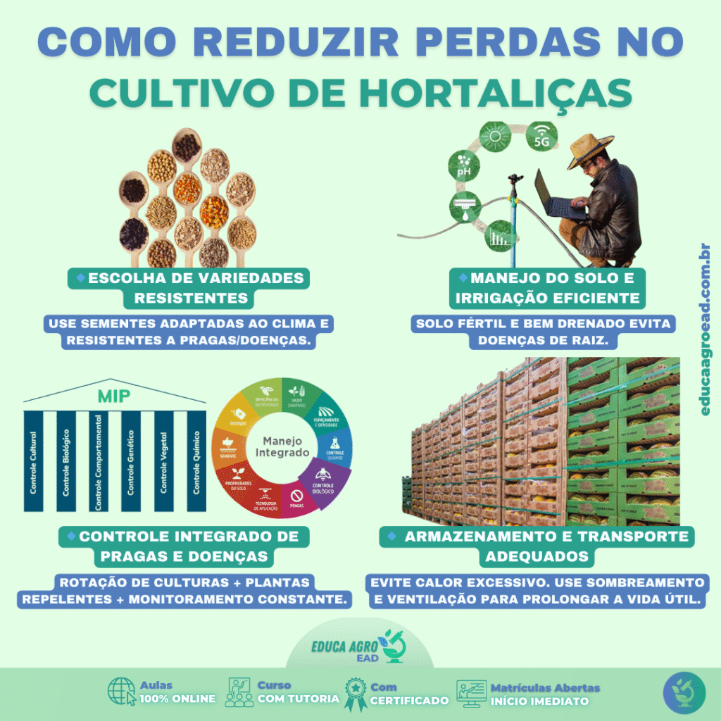 Como Reduzir Perdas no Cultivo de Hortaliças