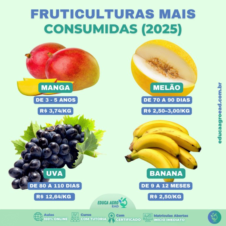 Fruticulturas mais consumidas em 2025: oportunidades no campo