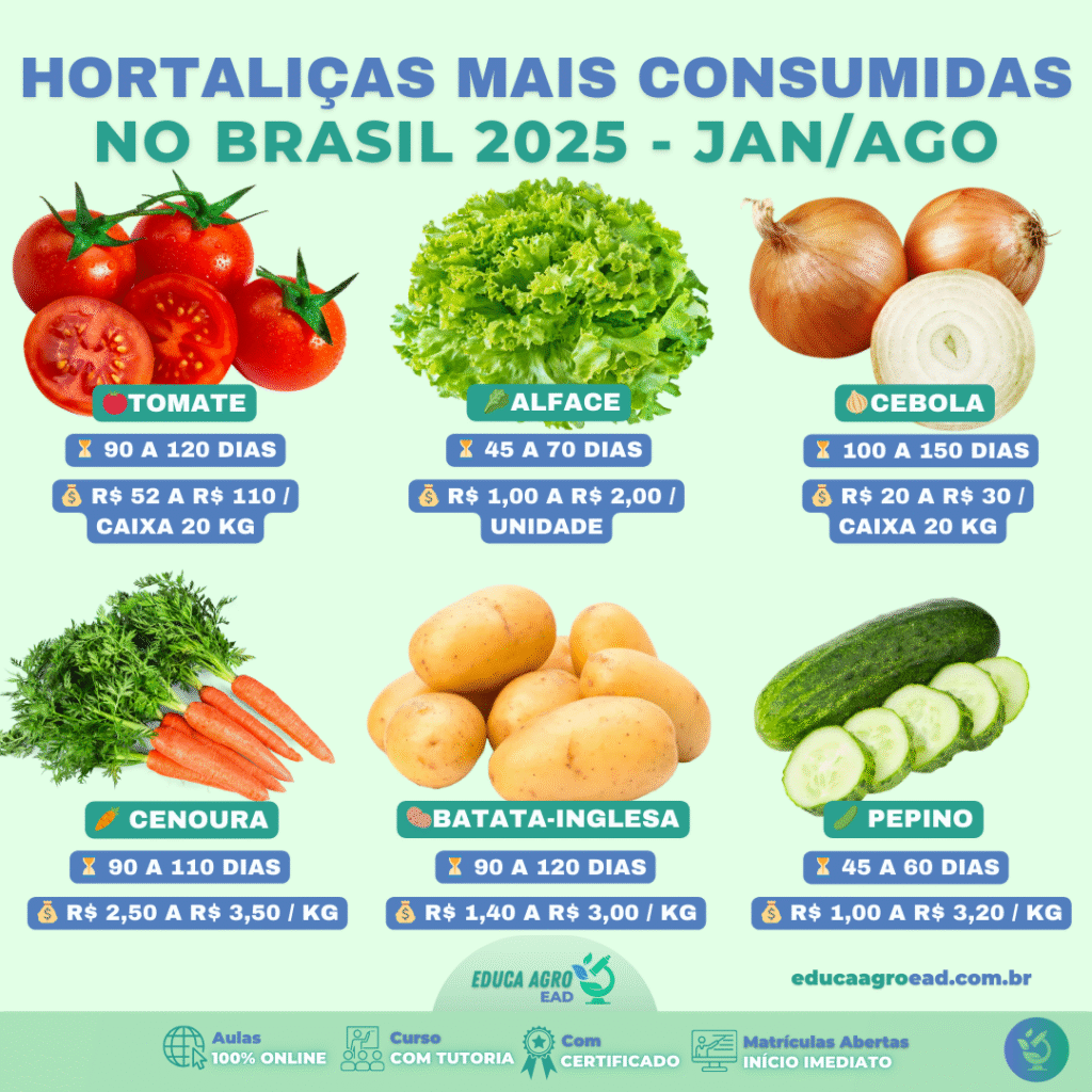 Hortaliças mais consumidas no Brasil em 2025