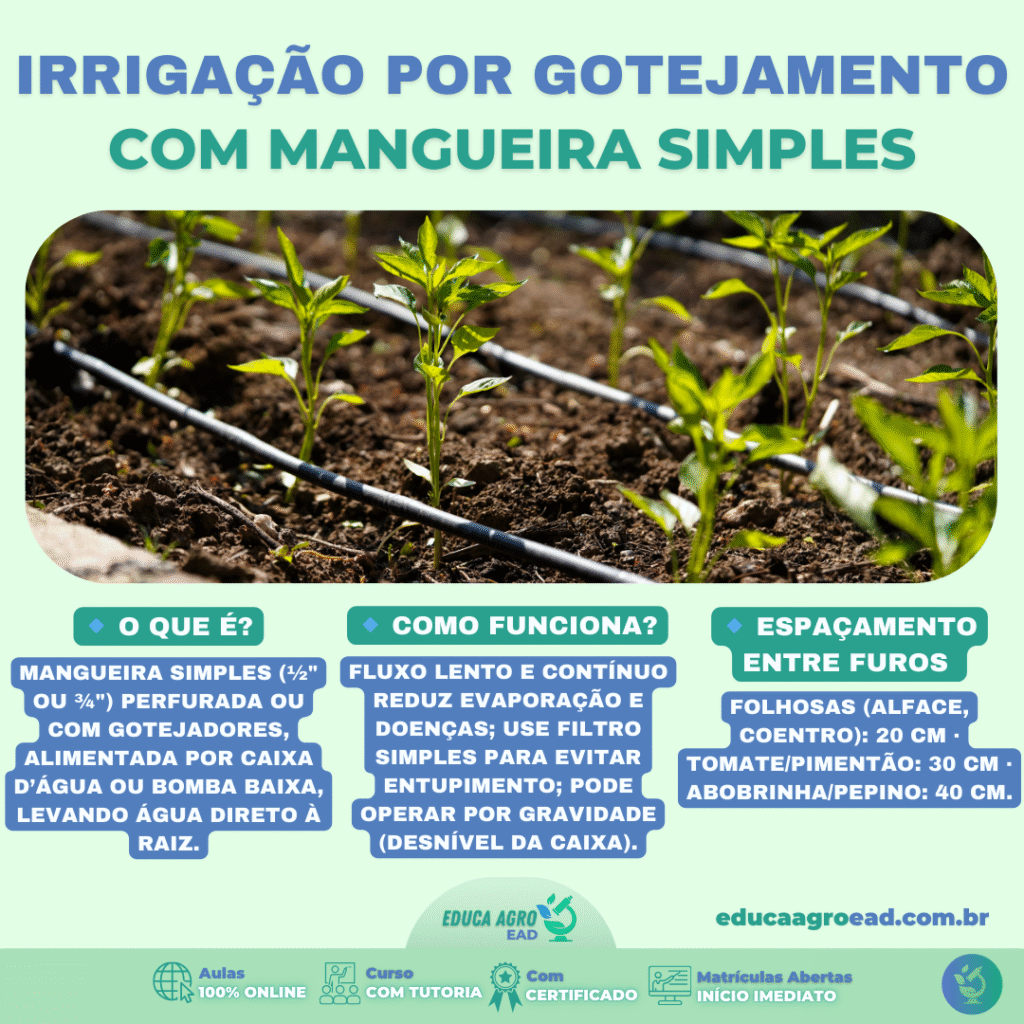 Irrigação por Gotejamento com Mangueira Simples: Economia e Eficiência no Campo