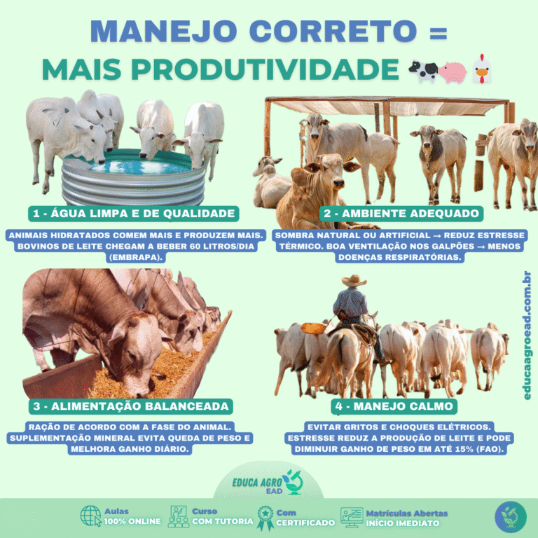 Manejo Correto: o Pilar da Produtividade na Pecuária 🐄🐖🐔