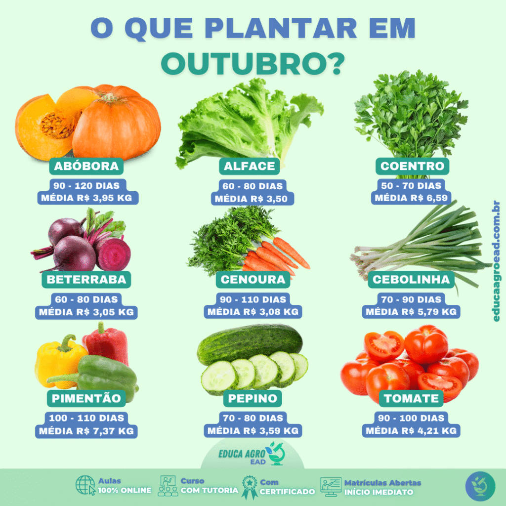 🌱 O Que Plantar em Outubro? Guia Completo com Ciclo de Colheita e Valores de Mercado