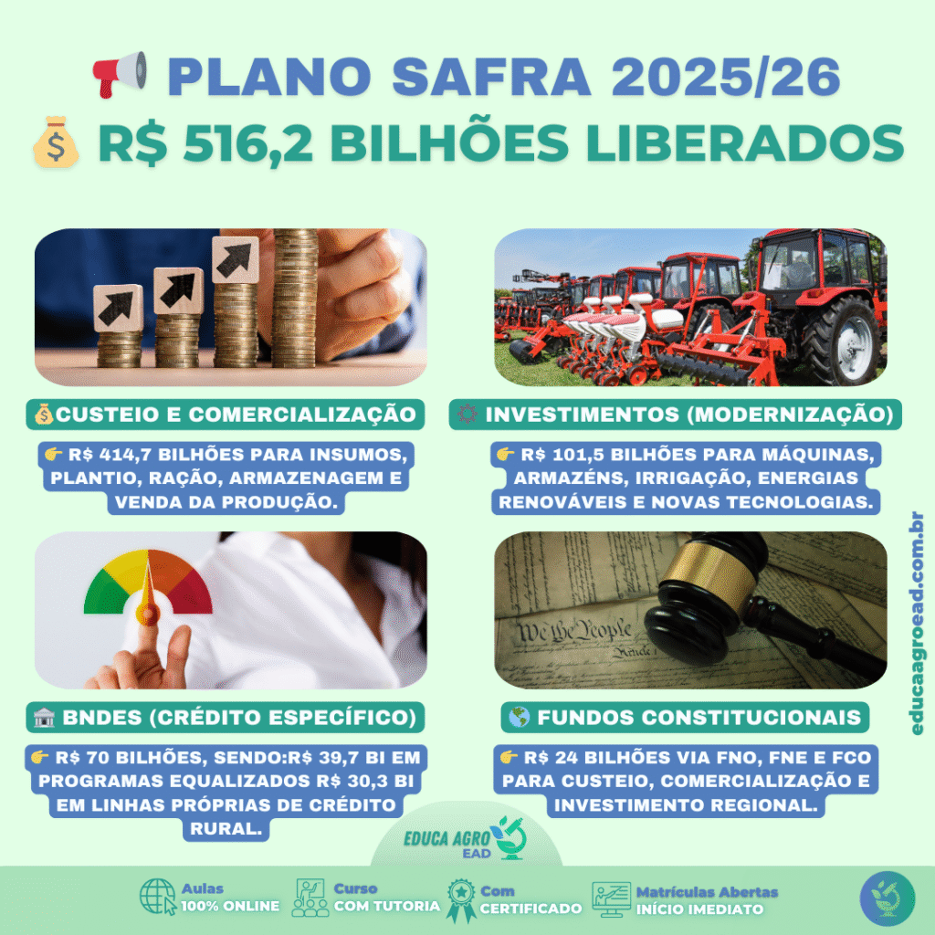 Plano Safra 2025/26: Entenda para Onde Vão os R$ 516,2 Bilhões do Crédito Rural