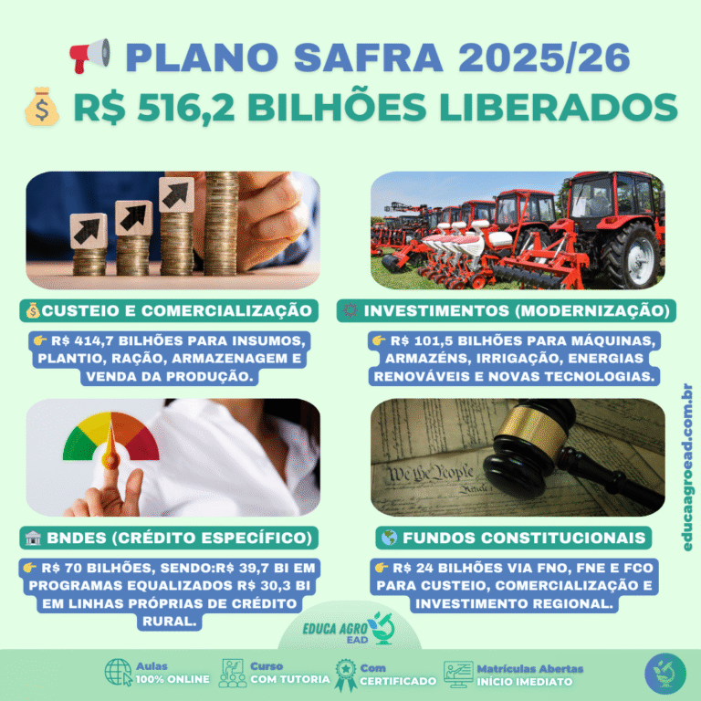 Plano Safra 2025/26: Entenda para Onde Vão os R$ 516,2 Bilhões do Crédito Rural
