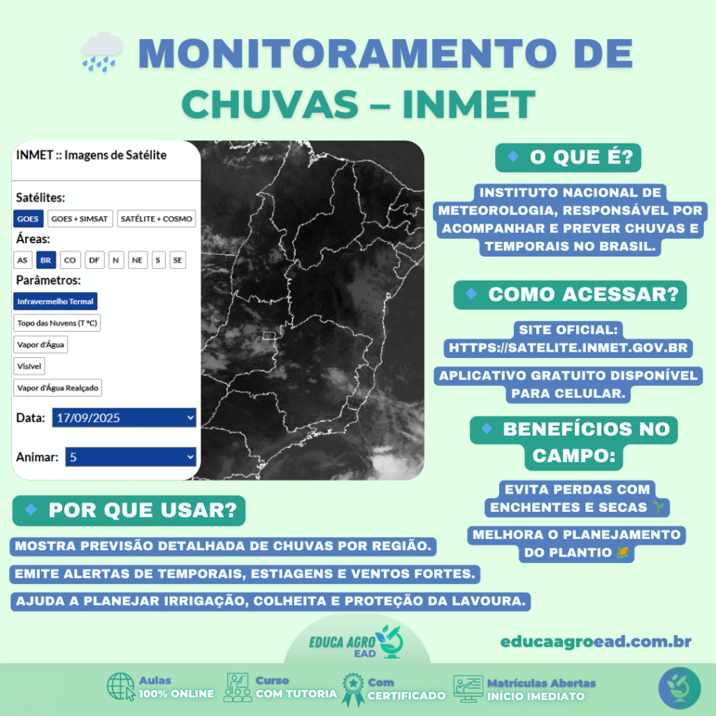 🌧 Monitoramento de Chuvas com o INMET: Segurança e Produtividade no Campo