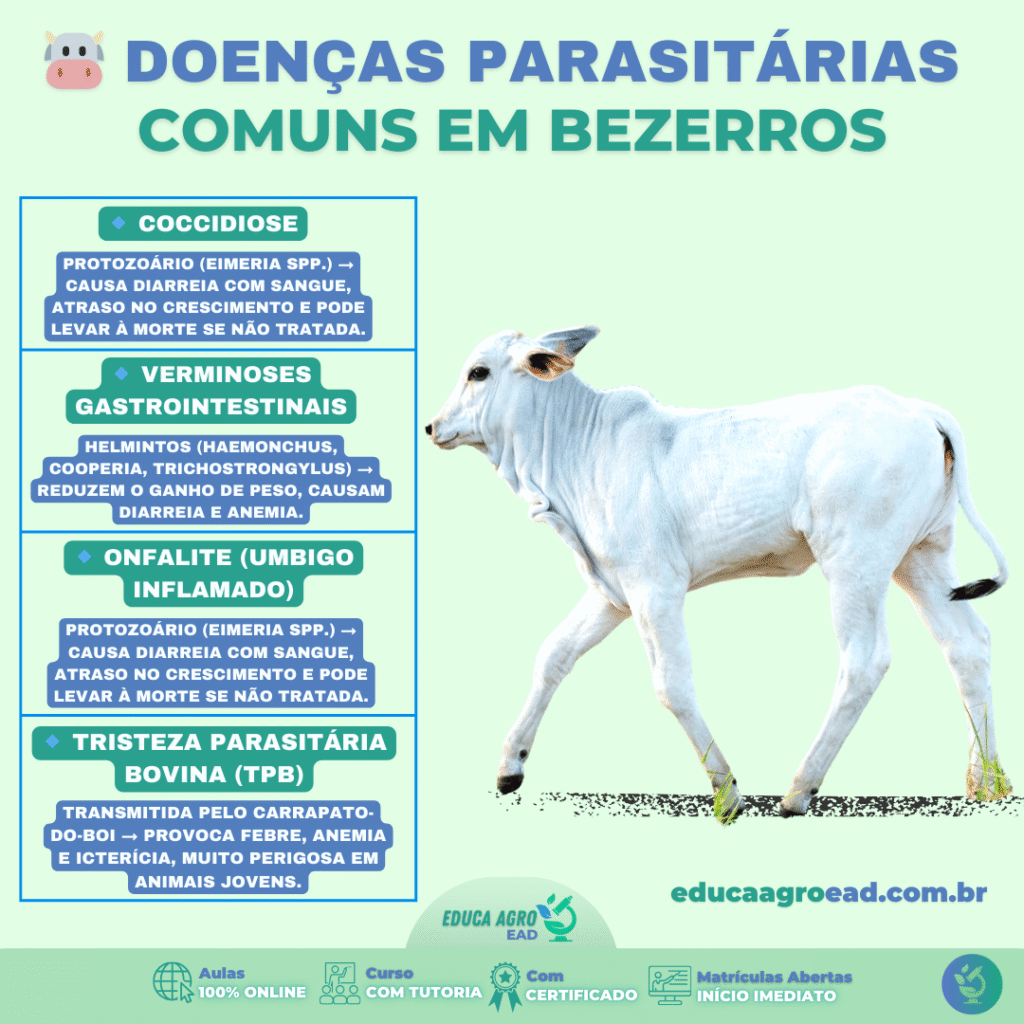 Parasitoses em Bezerros: Principais Doenças e Como Prevenir