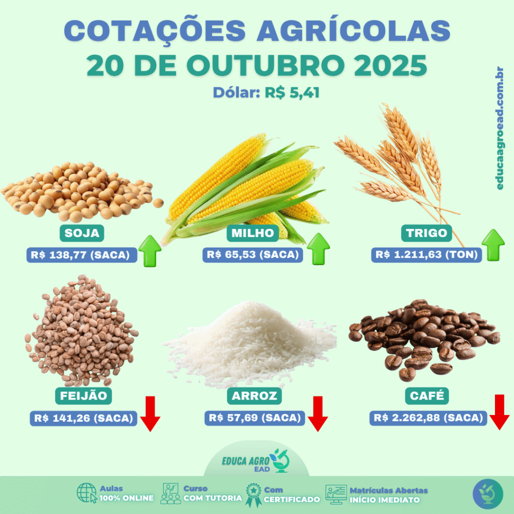 🌾 Panorama do Mercado Agrícola Brasileiro