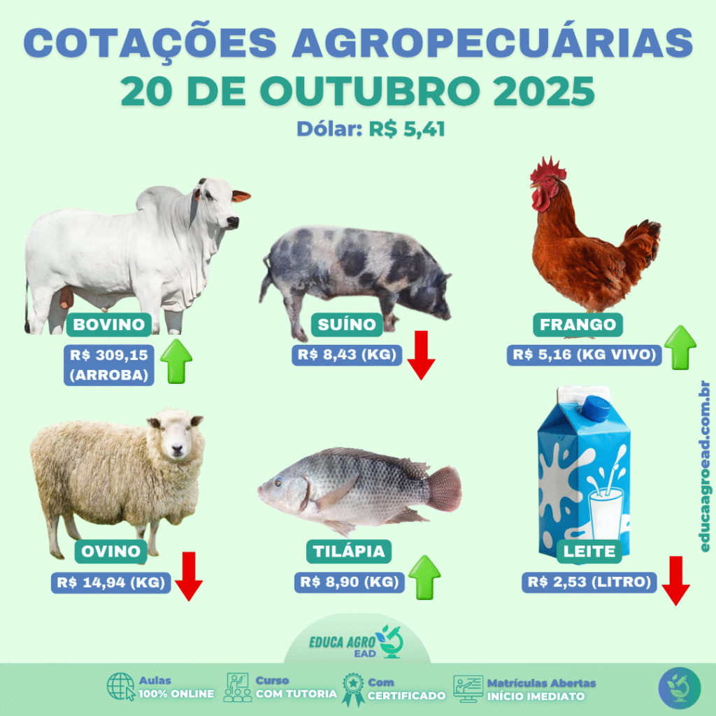 🐄 Panorama do Mercado Pecuário Brasileiro