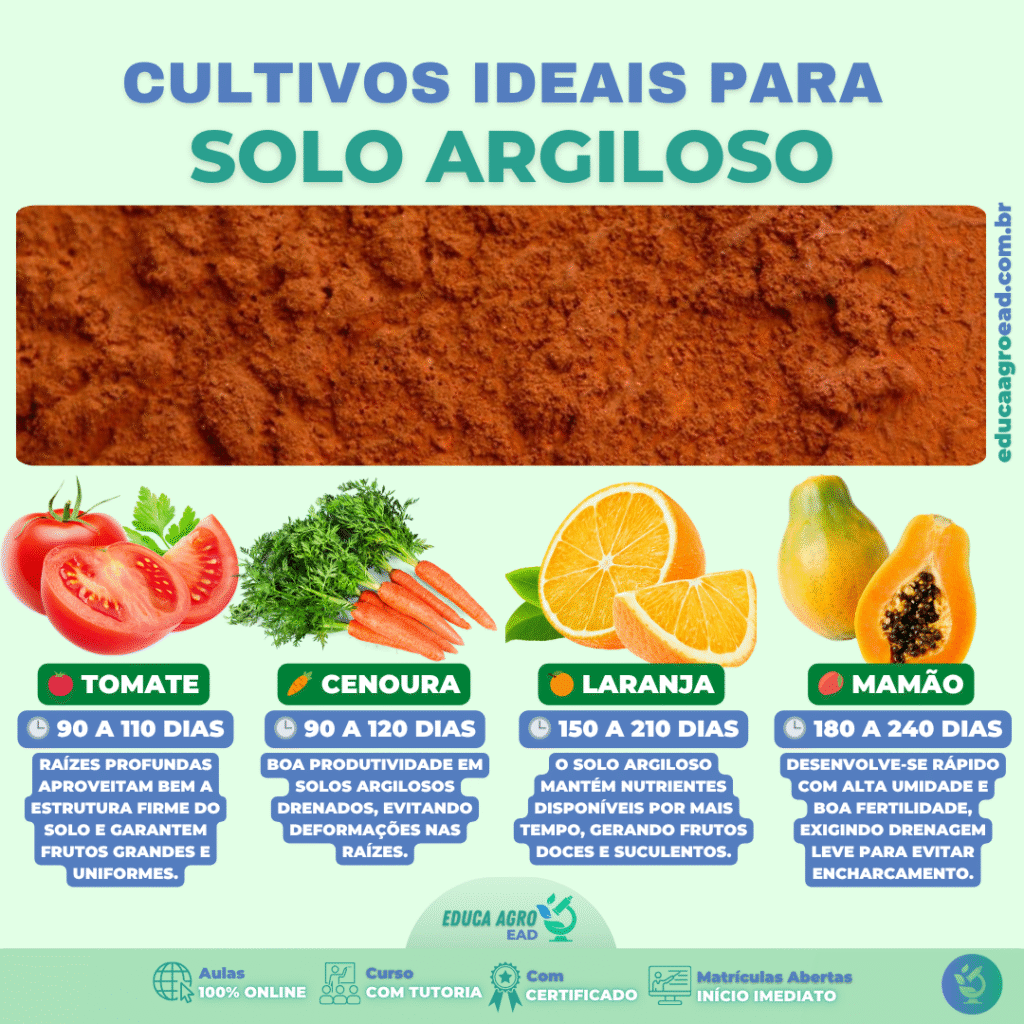 Solo Argiloso: Frutas e Hortaliças que Garantem Alta Produtividade”