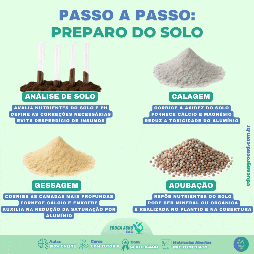 🌱 PASSO A PASSO: COMO PREPARAR O SOLO PARA MAXIMIZAR SUA PRODUÇÃO