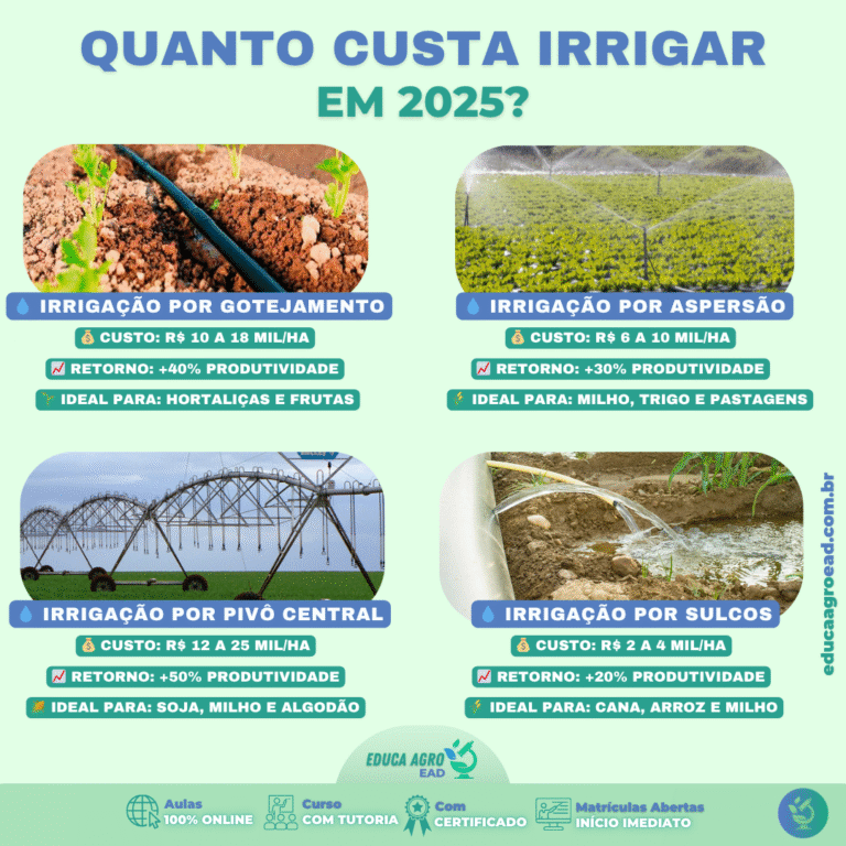 🌾 Quanto custa implantar um sistema de irrigação no Brasil em 2025?