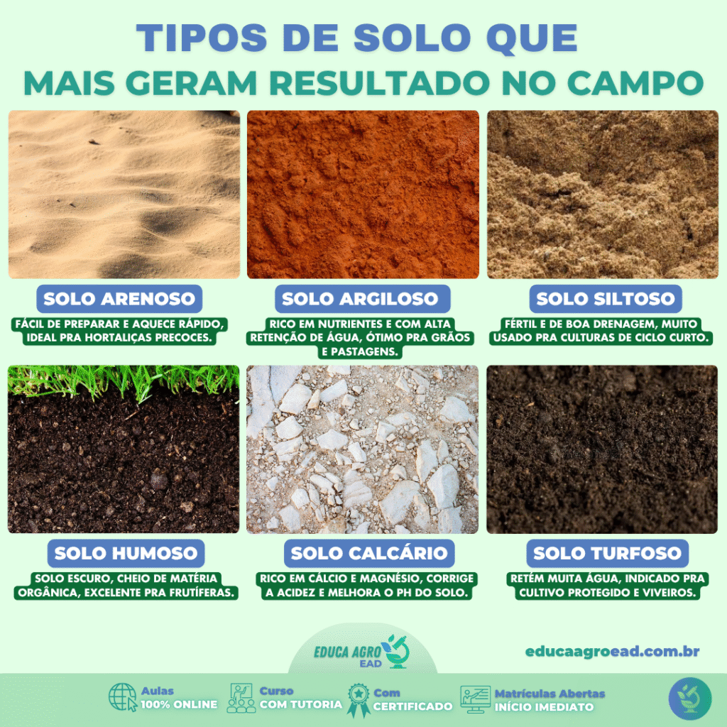 Os Tipos de Solo que Mais Geram Resultado no Agro Brasileiro