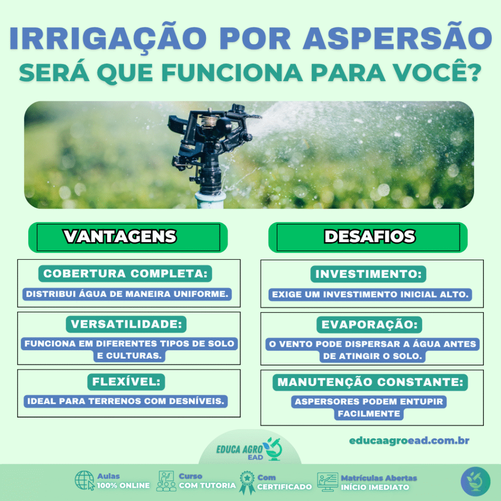 💧 Irrigação por aspersão: como funciona e quando vale a pena investir
