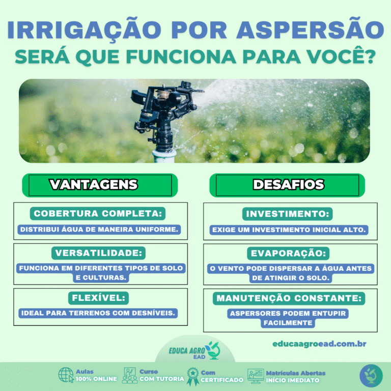💧 Irrigação por aspersão: como funciona e quando vale a pena investir