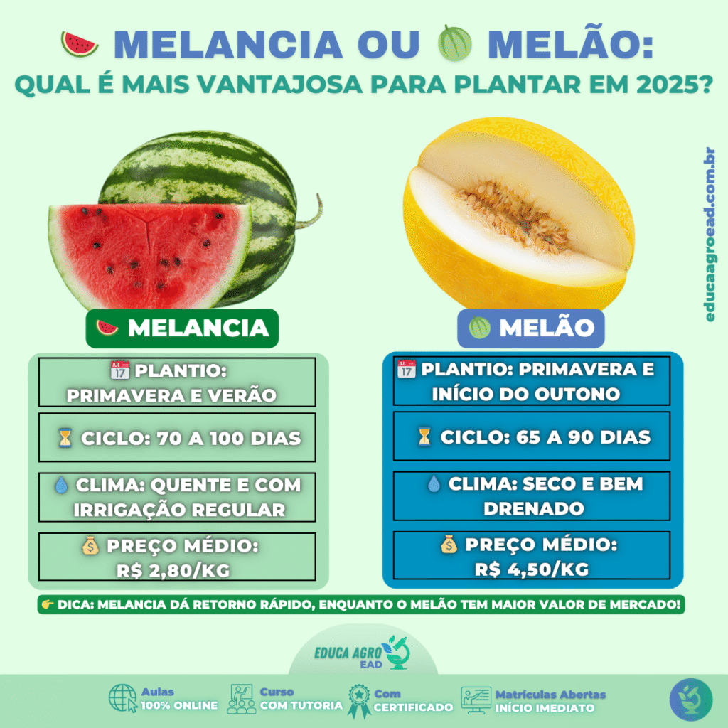 🍉 Melancia ou 🍈 Melão: Qual é mais vantajosa para plantar em 2025?