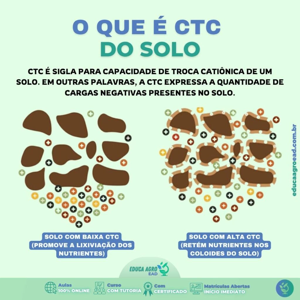 O que é CTC do solo — e por que esse indicador define a produtividade da sua lavoura