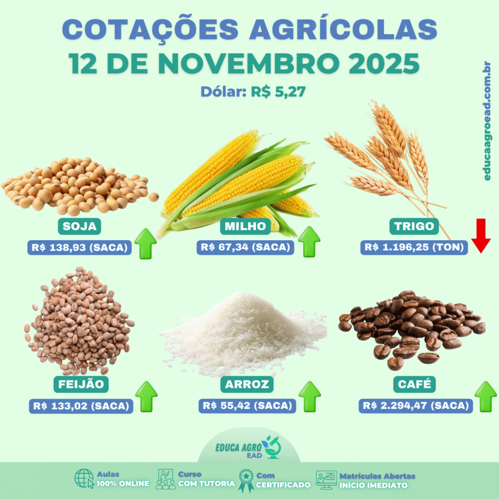 📊 Cotações Agrícolas – Atualização de 12 de Novembro de 2025