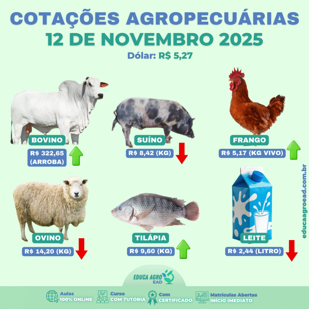 🐮 Cotações Agropecuárias – Atualização de 12 de Novembro de 2025