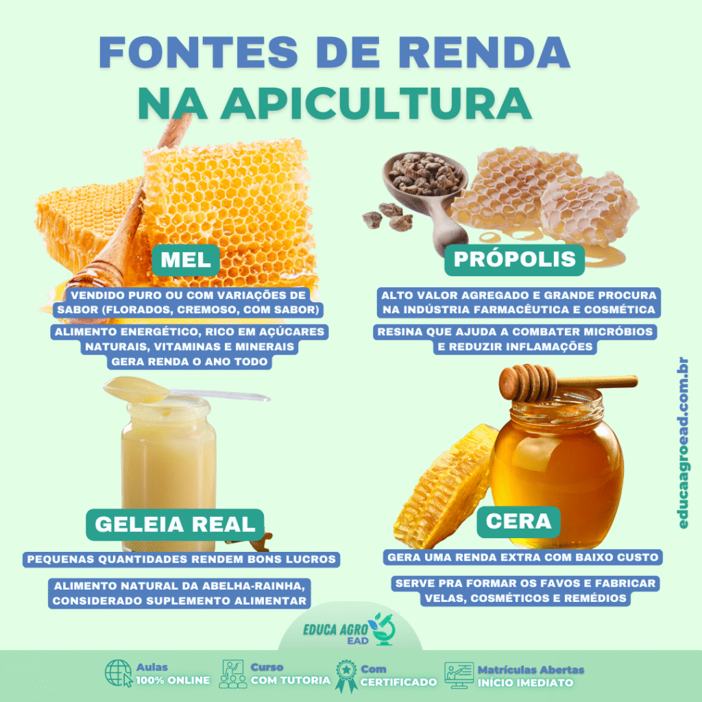 🐝 Fontes de Renda na Apicultura: Como Lucrar com Mel, Própolis, Geleia Real e Cera de Abelha