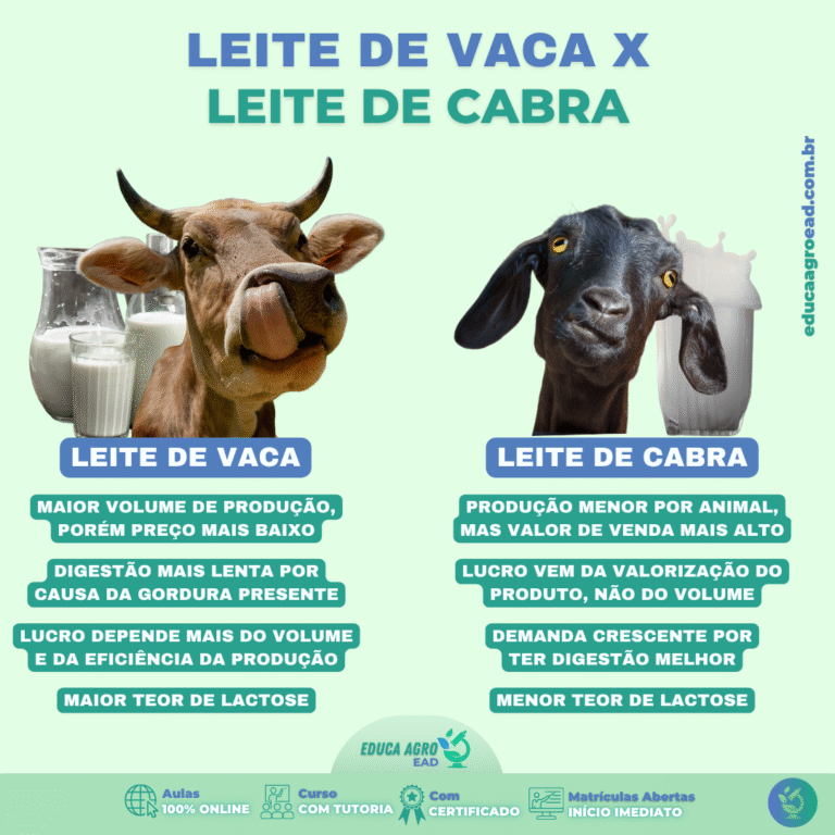 🥛 Leite de vaca ou leite de cabra: qual é mais vantajoso para o produtor rural?
