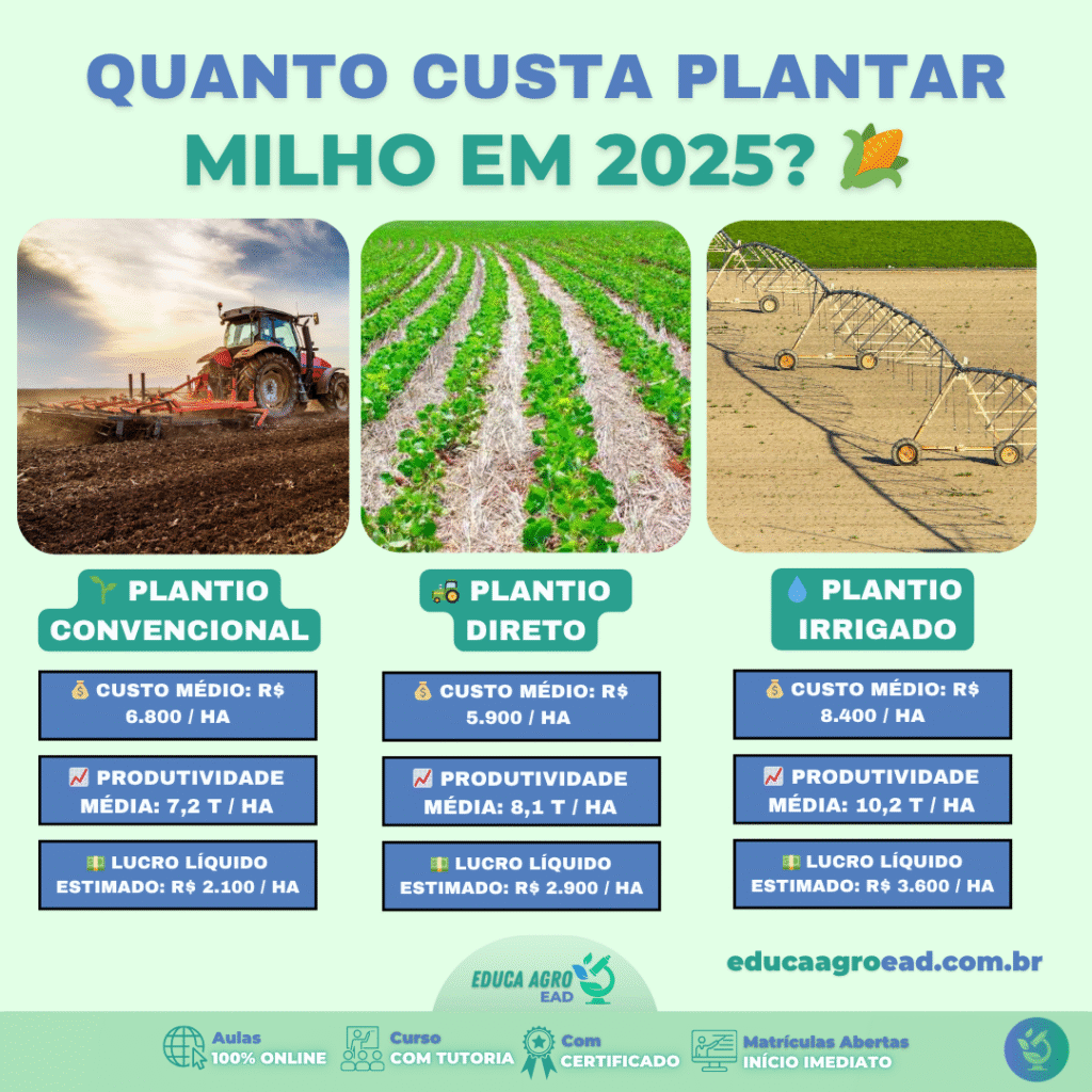🌽 Quanto custa plantar milho no Brasil em 2025?