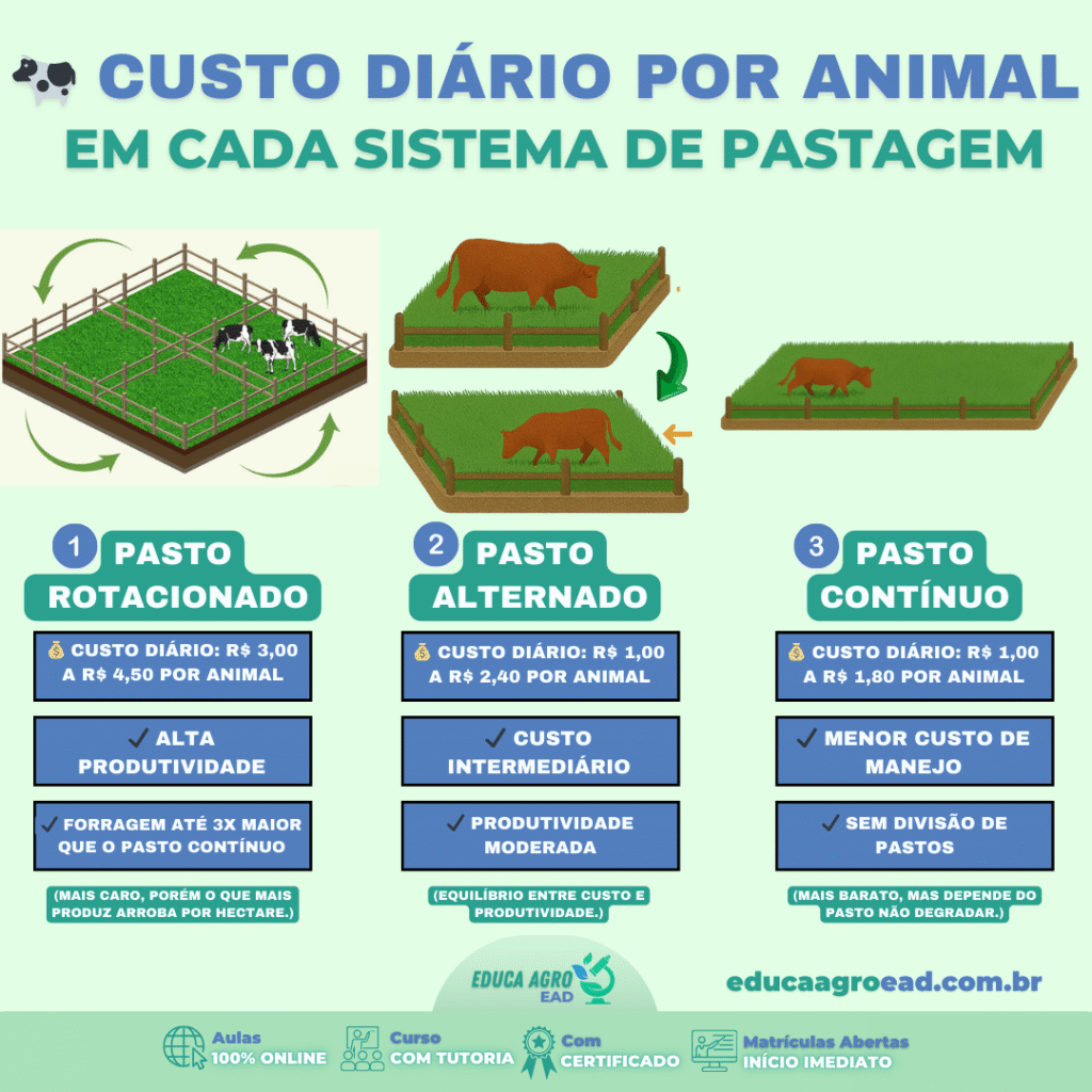 🐄 Custo Diário por Animal em Cada Sistema de Pastagem: Como Escolher o Manejo Mais Econômico e Produtivo para a Sua Pecuária