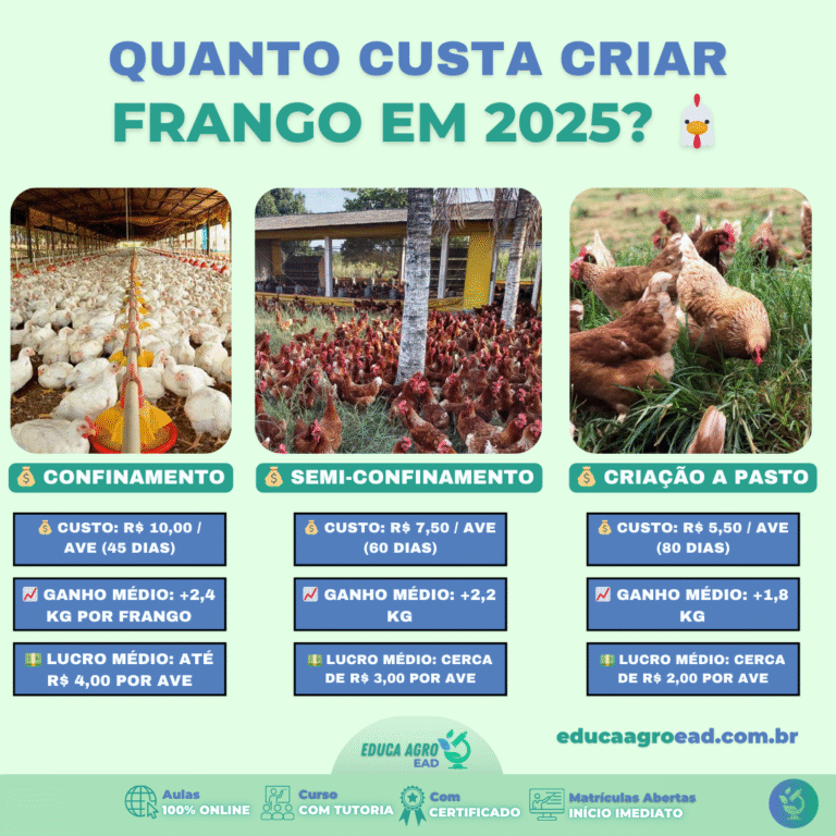 🐔 Quanto custa criar frango em 2025: veja qual sistema é mais rentável no campo!