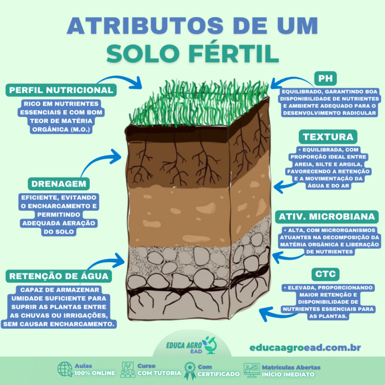 🌱 Atributos de um Solo Fértil: A Base da Produtividade no Campo