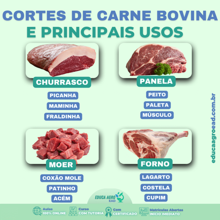 🥩 Cortes de Carne Bovina e Seus Principais Usos: Guia Prático para o Dia a Dia no Campo