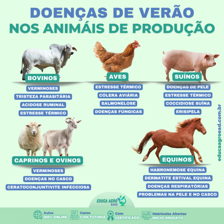 Doenças de Verão nos Animais de Produção: o que todo produtor precisa ficar atento