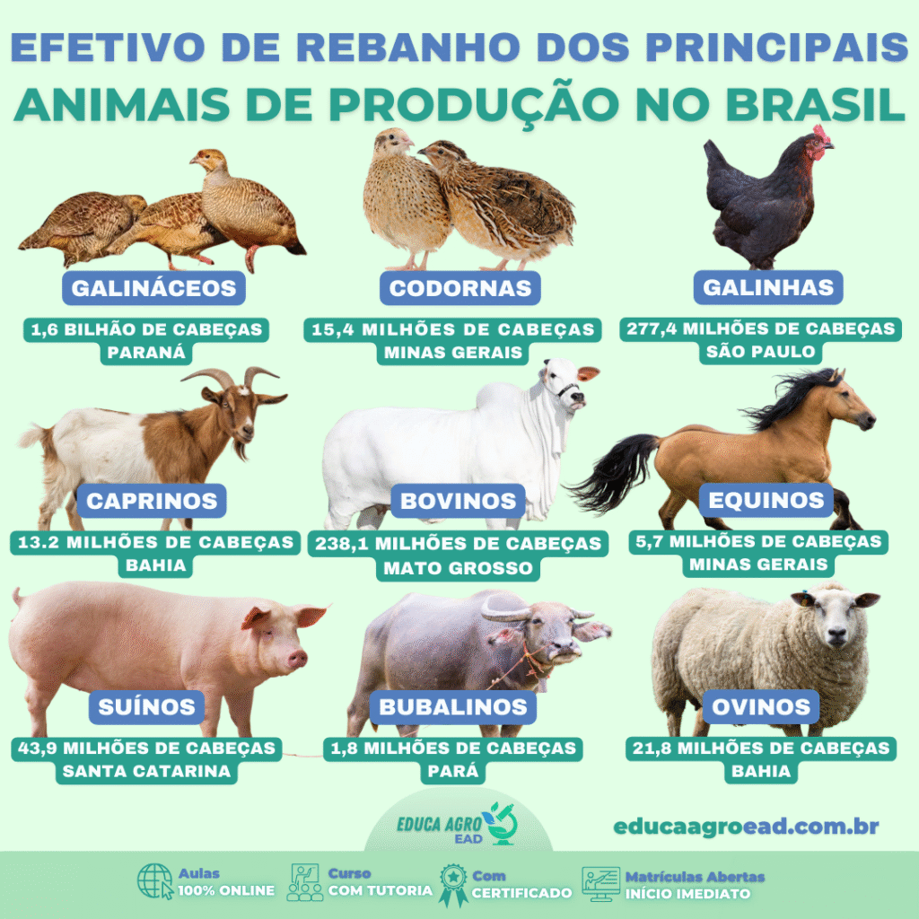 🐄🐔🐷 Você tem noção do tamanho real do rebanho brasileiro?
