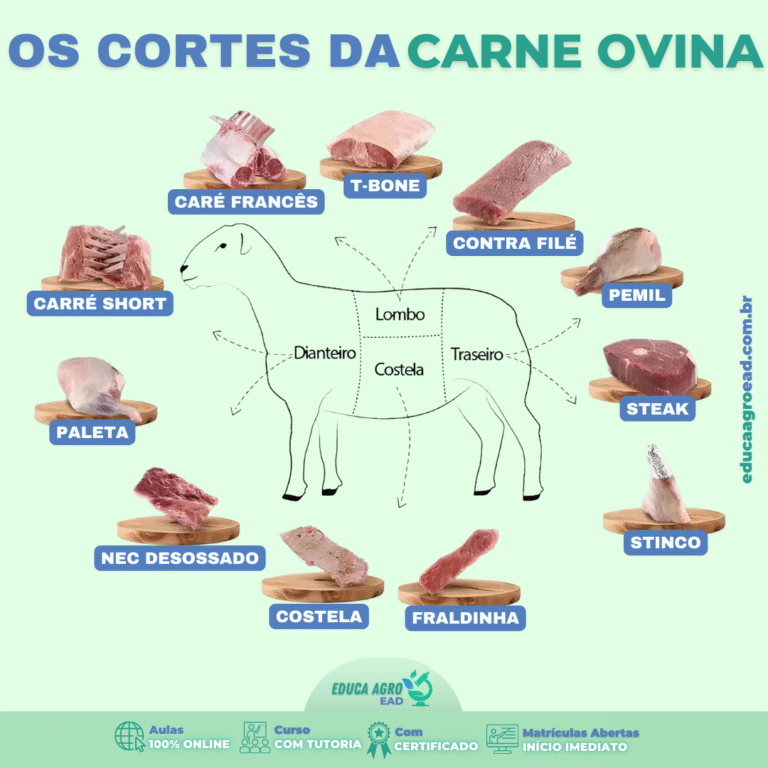 Os Principais Cortes da Carne Ovina e Suas Aplicações na Produção e no Consumo