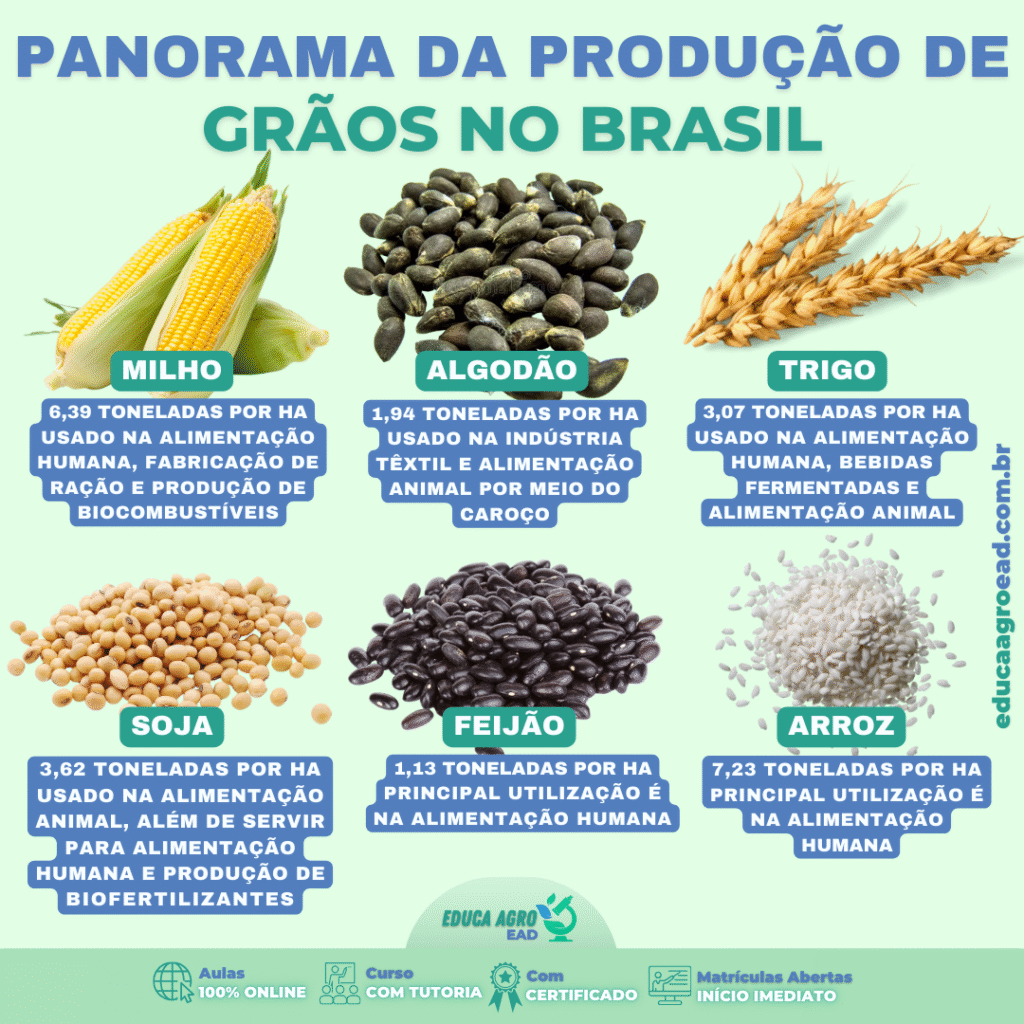 Panorama da Produção de Grãos no Brasil: produtividade cresce na safra 2024/2025