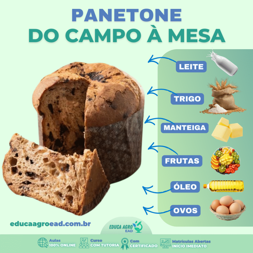 🎄🍞 Panetone: Do Campo à Mesa — O Agro Presente no Natal