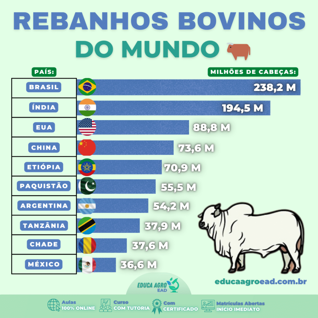 🌍🐂 Rebanhos Bovinos do Mundo: Quem Lidera a Pecuária Global?